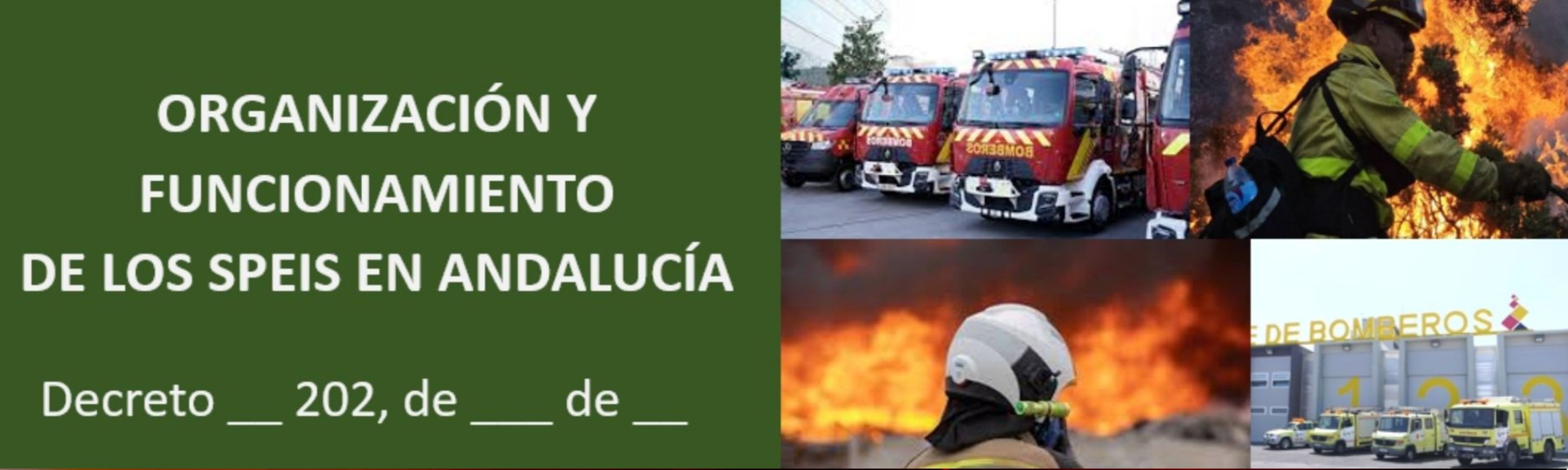 ORGANIZACION Y FUNCIONAMIENTO DE LOS SPEIS EN ANDALUCÍA